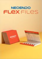 Neoendo Flex Files 17-4-21mm